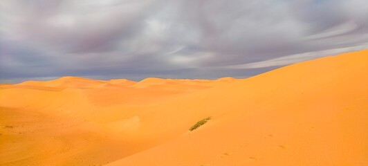 A sweeping panorama captures the vast expanse of golden sand dunes stretching as far as the eye can see, forming an arid desert under a partly cloudy blue sky in Timimoun, Algeria.