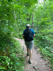 Obraz premium Man hiking with trekking poles through a luscious forest wearing a blue shirt, hiking shoes, and a hat looking over at the scenic view.