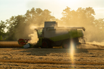 Combine harvester harvests wheat at sunset.