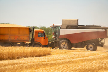 Combine harvester on the wheat field