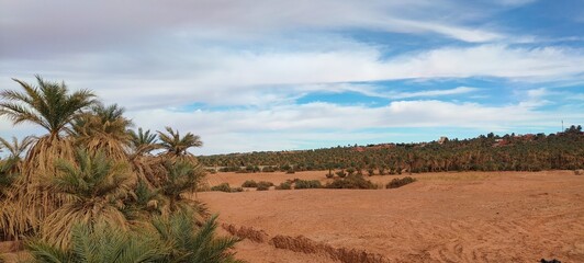 A sweeping panorama captures the oasis nestled in the midst of fine sandy desert, with agricultural fields stretching at the base of palm trees beneath a partly cloudy blue sky in Timimoun, Algeria.