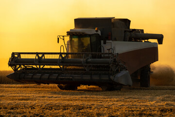 Fototapeta premium Combine harvester on the field at sunset