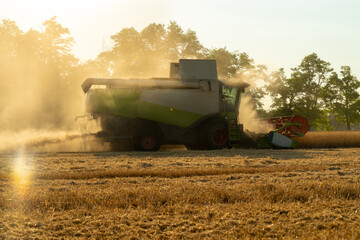Combine harvester harvests wheat at sunset.