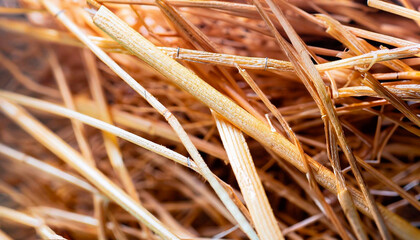 macro photo of straw texture