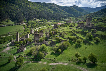 Vineyard in the mountains