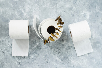 Rolls of toilet paper and eucalyptus branch on marble table background