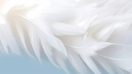 Fototapeta na wymiar Soft feather decoration, feather texture