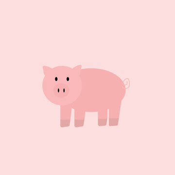 pig illustration on pink background