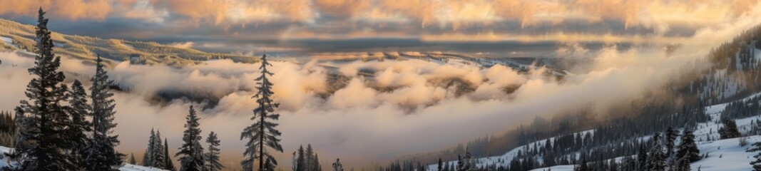 Sea of fog on mountain