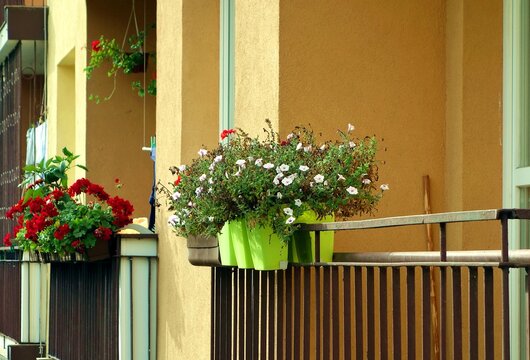 Flowers pots on the balcony railing - it is adapted to be mounted on railings