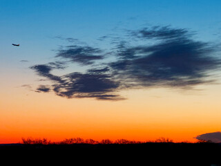 Fototapeta na wymiar Airplane in sunrise.