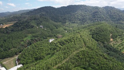Fototapeta na wymiar Ipoh, Malaysia - February 19 2024: The Gaharu Tea Valley