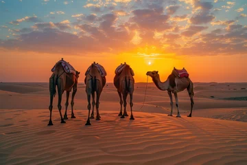 Gordijnen Group of camels standing together on sand dunes against a stunning sunset backdrop, with a serene desert landscape. © Tuannasree