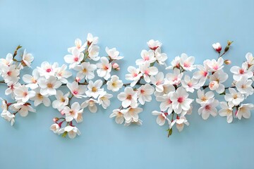 White cherry blossoms on blue background. Flat lay composition. Spring flowers concept. Springtime nature beauty. Design for wallpaper, background