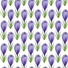 Watercolor purple crocuses seamless pattern, spring flowers digital paper on white background. Hand painted floral illustration. For textile design, packaging, wrapping paper, wallpaper, scrapbooking.