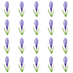 Watercolor purple crocuses seamless pattern, spring flowers digital paper on white background. Hand painted floral illustration. For textile design, packaging, wrapping paper, wallpaper, scrapbooking.