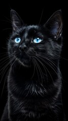 Beautiful black cat with blue eyes on a black background, Close-up. AI generated.