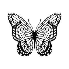 Butterfly hand drawn line vector illustration