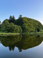 Obraz premium reflection of trees in the water