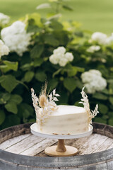 small wedding cake on the background of a green landscape