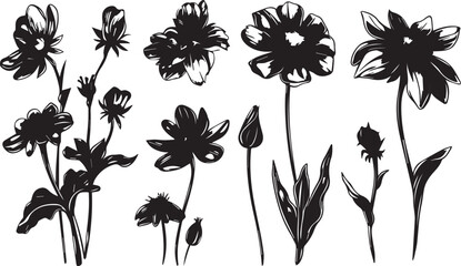 Set Flowers. Hand drawn vector illustration