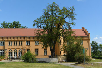 Fototapeta na wymiar Schloss Petzow in Werder-Petzow, Schwielowsee, südlich von Berlin, nahe Potsdam, Brandenburg, Deutschland