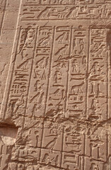 Fototapeta na wymiar ancient egyptian hieroglyphics at the tomb of nobles in Aswan, Egypt 