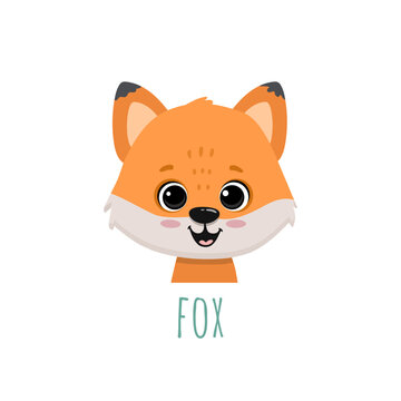 funny cartoon fox in flat style. Funny animal. Fox  face for cards, magazins, banners. Vector illustration