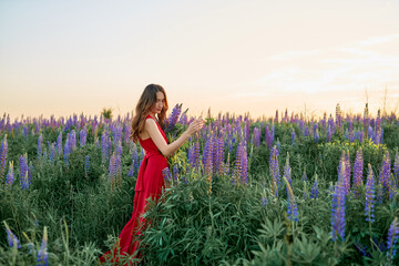 beautiful girl in a red dress with a bouquet of lupine flowers in the field