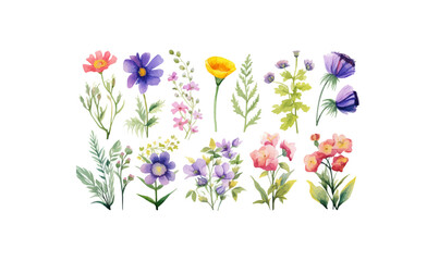 illustration set ??" Wildflowers: summer flower, blossom, poppies, chamomile, dandelions, cornflowers, lavender, violet, bluebell, clover, buttercup, butterfly. --