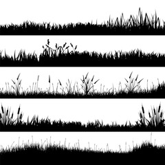 Meadow silhouettes with grass, plants on plain. Panoramic summer lawn landscape with herbs, various weeds. Herbal border, frame element. Black horizontal banners. Vector illustration