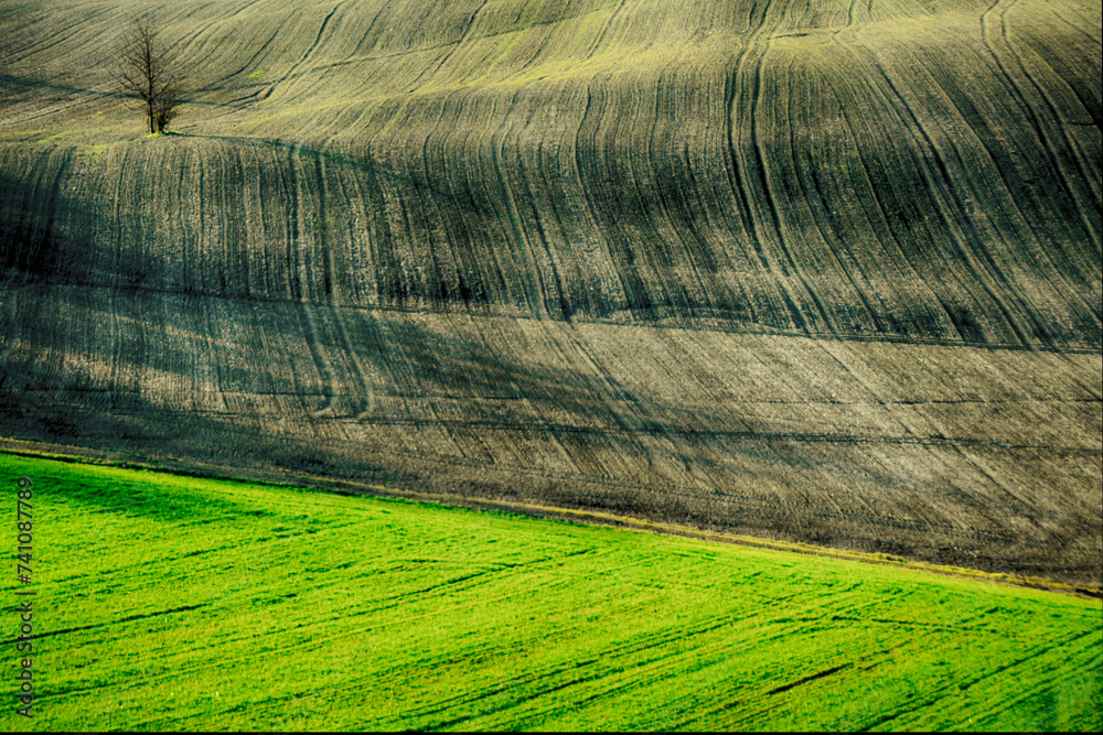 Wall mural The hills of Monferrato - Camagna - Alessandria - Piedmont - Italy