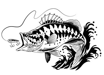 Vector of Bass Fish Catching the Fishing Lure Isolated