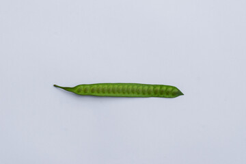 Leucaena leucocephala on white background, traditional herbal medicine Leucaena leucocephala, pearl wattle