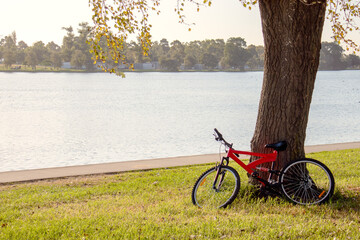 bike by the tree by the lake