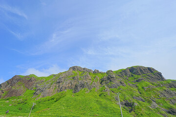 Fototapeta premium 桃台猫台