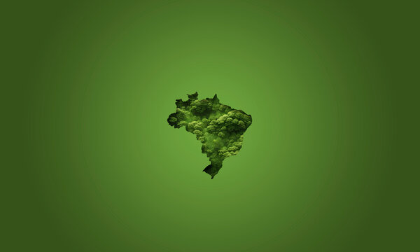 Mapa do Brasil preenchido com textura de floresta