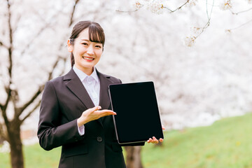 満開の桜の下でタブレットの画面を案内するスーツ姿の女性（登録・エントリー・就職・転職・進学）
