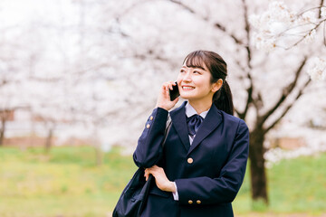 桜の中でスマホを使う中学生・高校生・女子高生・女子高校生（電話・通話）
