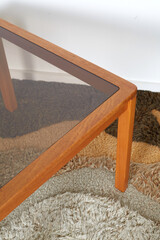 Mid-Century Wooden Coffee Table with Glass Top