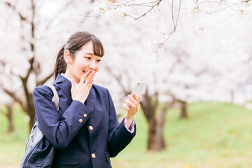 桜の中でスマホを使う中学生・高校生・女子高生・女子高校生
