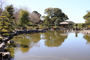 日本庭園の池
