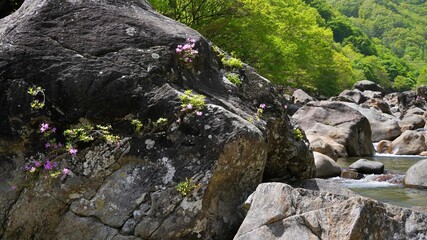 Hiking along Seosandaesa Trail in Hadong-gun, Korea