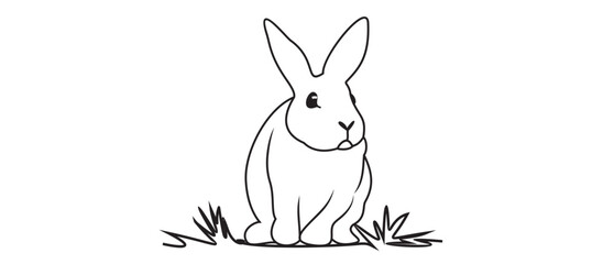 Bunny line art 