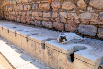 Antique Roman public toilet in the city of Ephesus. Background with selective focus and copy space