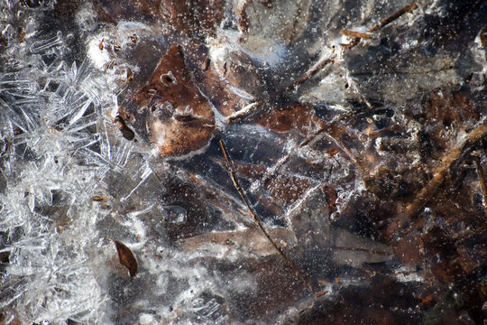 Frozen graund texture 