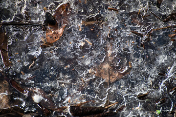 Frozen graund
