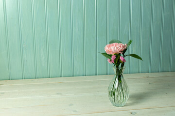 Single peach carnation with greenery in a small delicate vase