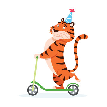 Happy cartoon tiger in party hat rides a kick scooter. Holiday smiling wild cat isolated on white background. Adorable orange striped character. Animal vector illustration.