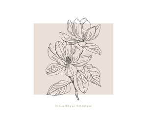Magnolia tree branch spring flowers, abstract floral sketch art - 741135334